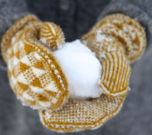 Load image into Gallery viewer, Shine Mitten Kit