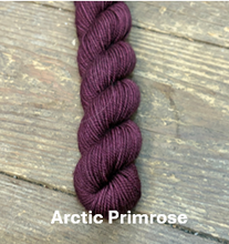 Load image into Gallery viewer, Polychrome MINI Skeins