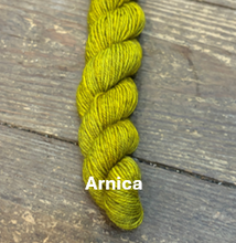 Load image into Gallery viewer, Polychrome MINI Skeins