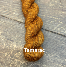 Load image into Gallery viewer, Polychrome MINI Skeins