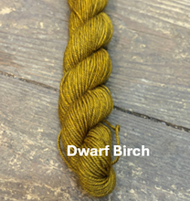 Load image into Gallery viewer, Polychrome MINI Skeins