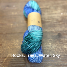 Load image into Gallery viewer, Dyed in the Shop Sock