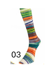 Load image into Gallery viewer, Eclectic Sock
