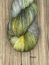 Load image into Gallery viewer, Arroyo- Malabrigo
