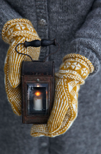Load image into Gallery viewer, Shine Mitten Kit
