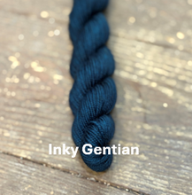 Load image into Gallery viewer, Polychrome MINI Skeins
