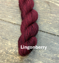Load image into Gallery viewer, Polychrome MINI Skeins
