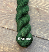 Load image into Gallery viewer, Polychrome MINI Skeins
