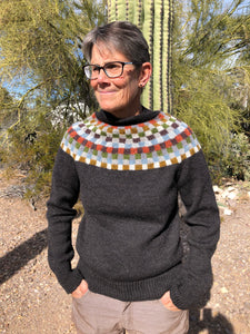 Paul Klee Sweater Kit